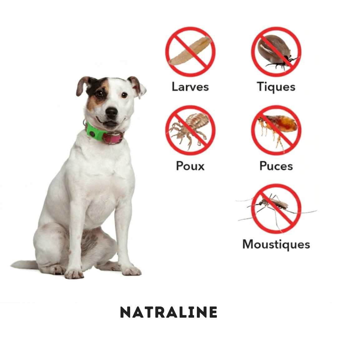 Pendentif Natraline™