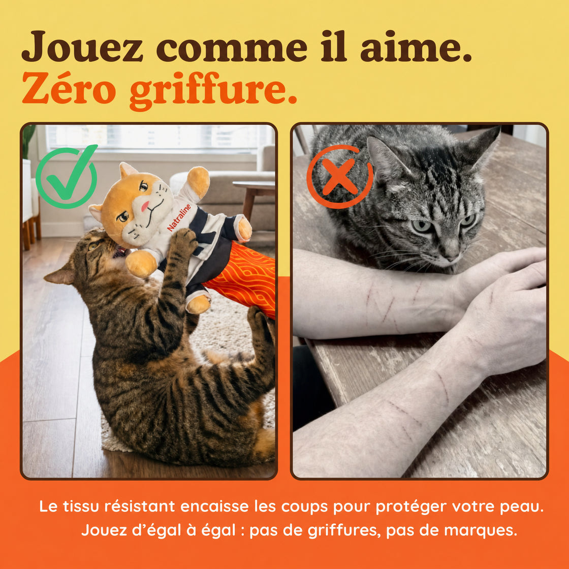 Comparaison : un chat joue avec la marionnette Natraline, à côté de bras griffés