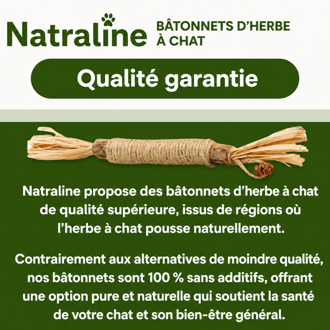 Natraline Bâtonnets Silvervine