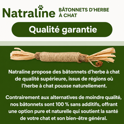 Natraline Bâtonnets Silvervine