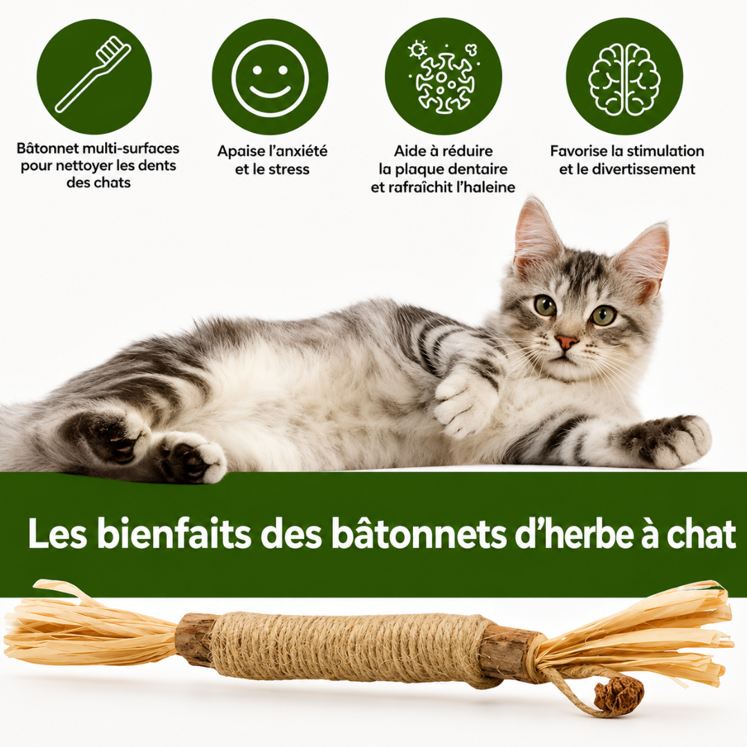 Natraline Bâtonnets Silvervine