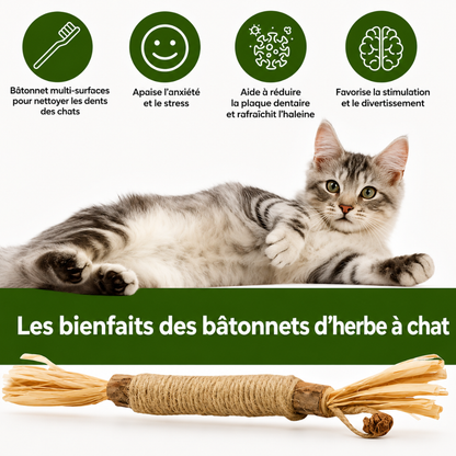 Natraline Bâtonnets Silvervine