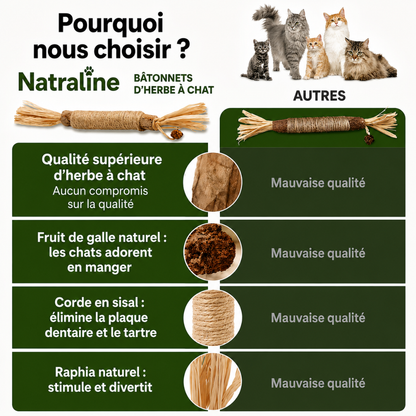 Natraline Bâtonnets Silvervine