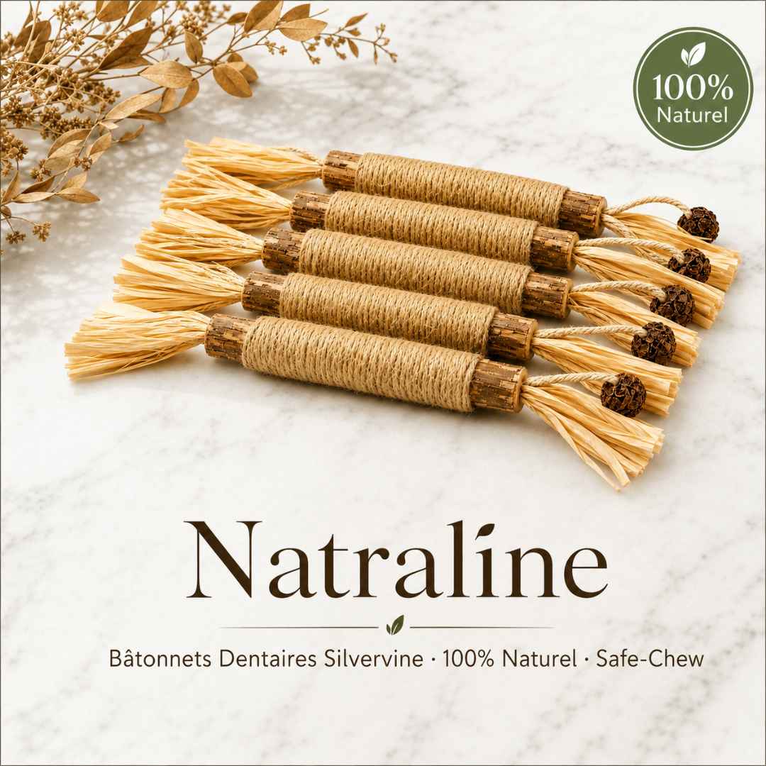 Natraline Bâtonnets Silvervine