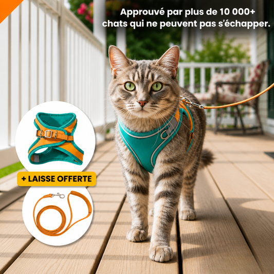 HARNAIS ANTI-ÉVASION POUR CHAT + LAISSE