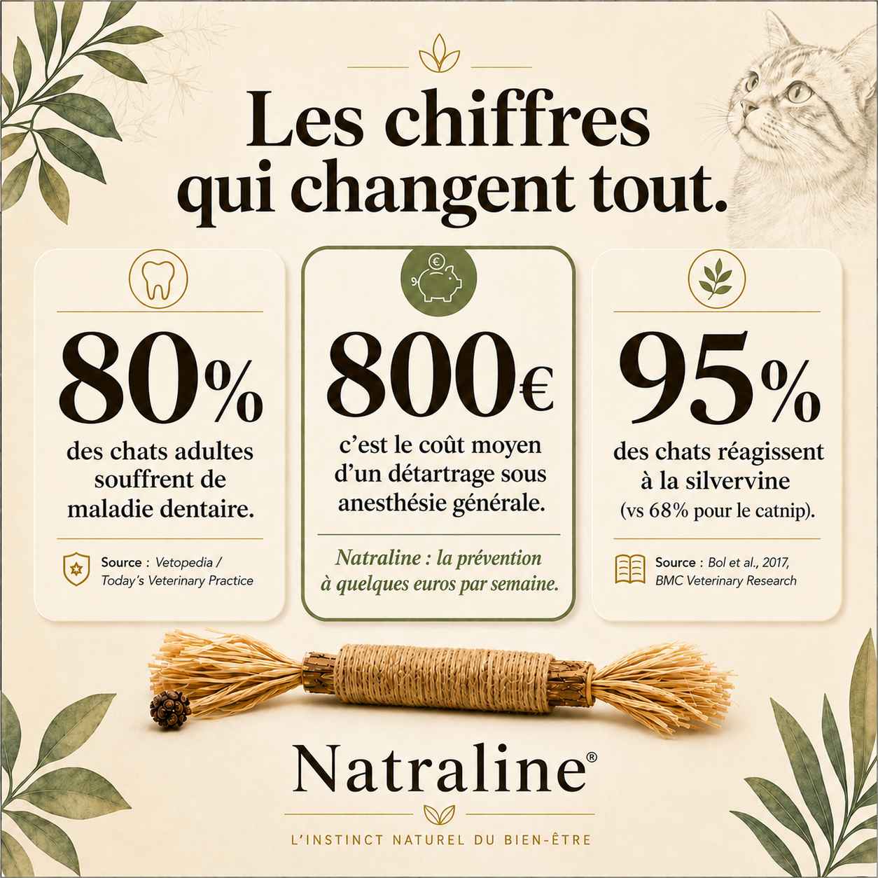 Natraline Bâtonnets Silvervine