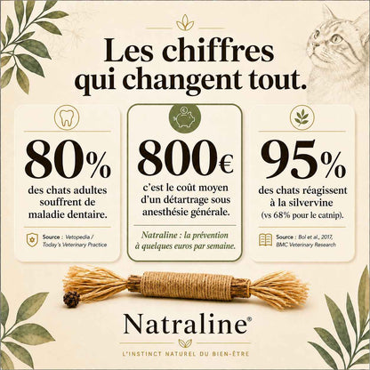 Natraline Bâtonnets Silvervine