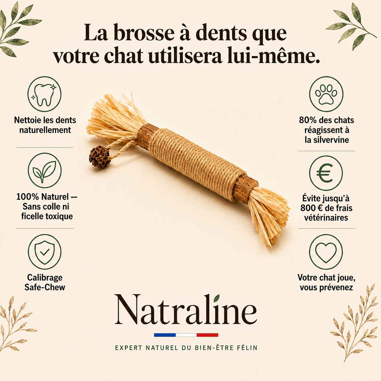 Natraline Bâtonnets Silvervine